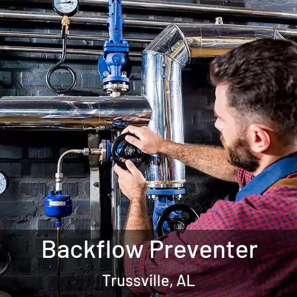  Backflow Preventer Trussville, AL