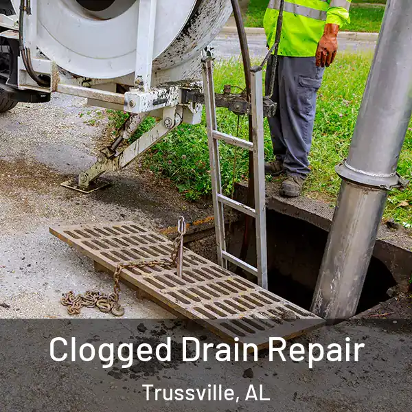  Clogged Drain Repair Trussville, AL