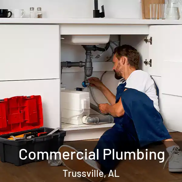  Commercial Plumbing Trussville, AL