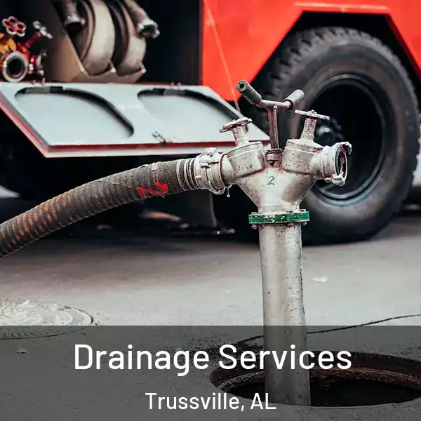  Drainage Services Trussville, AL
