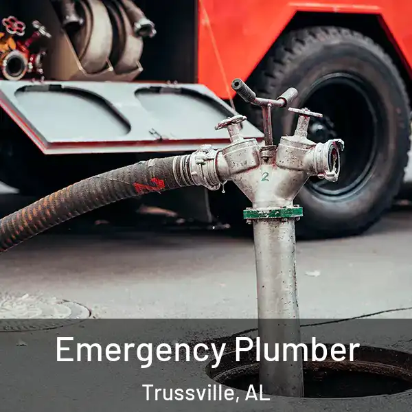  Emergency Plumber Trussville, AL