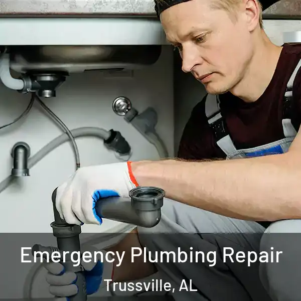  Emergency Plumbing Repair Trussville, AL