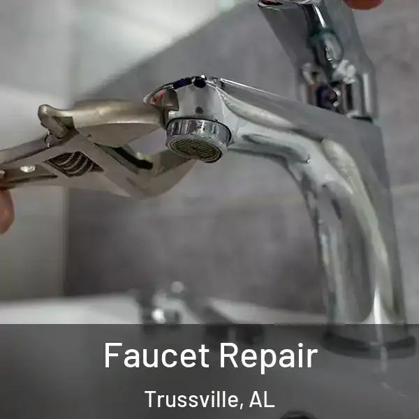  Faucet Repair Trussville, AL