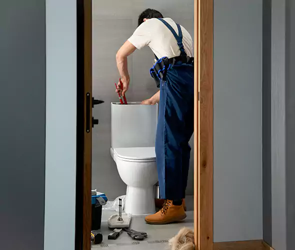 Professional Plumbers for Toilet Bowl Replacement in Trussville, AL: Schedule Affordable Toilet Replacement Services With Us
