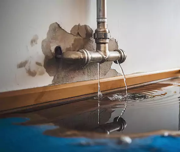 Professional Water Damage Restoration Experts in Trussville, AL — Fast, Reliable & Certified