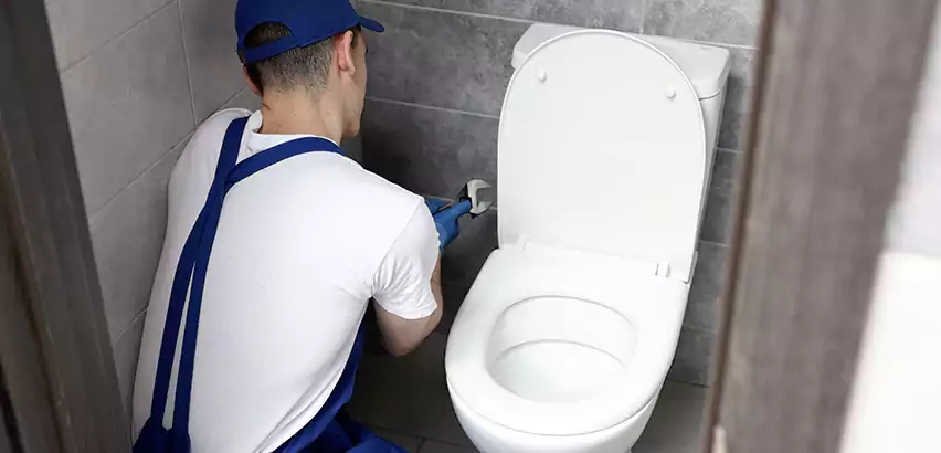Toilet Lid Replacement in Trussville
