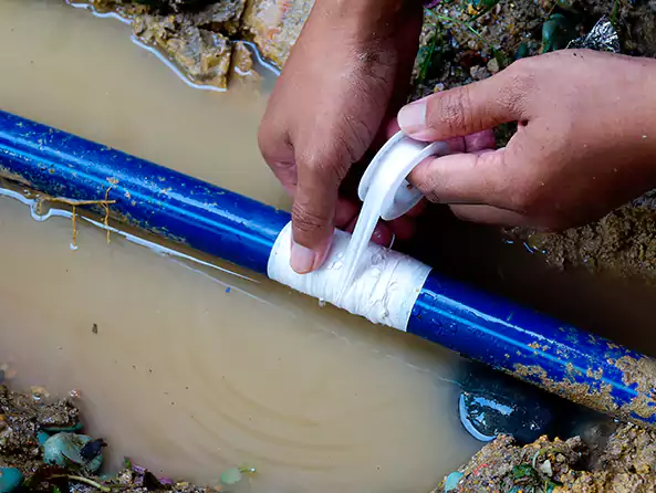  Why Choose Trussville Plumbers for Leak Detection in Trussville, AL?]