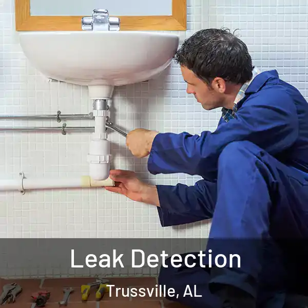  Leak Detection Trussville, AL