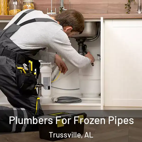  Plumbers For Frozen Pipes Trussville, AL