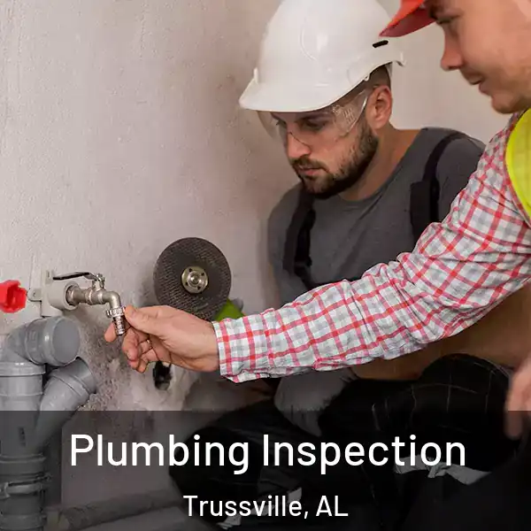  Plumbing Inspection Trussville, AL