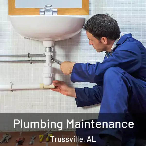  Plumbing Maintenance Trussville, AL