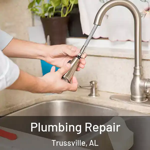  Plumbing Repair Trussville, AL