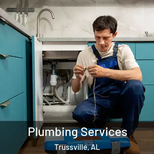  Plumbing Services Trussville, AL