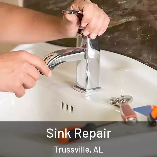  Sink Repair Trussville, AL