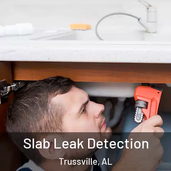  Slab Leak Detection Trussville, AL