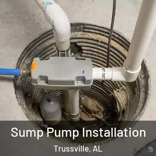  Sump Pump Installation Trussville, AL