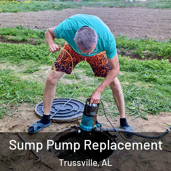  Sump Pump Replacement Trussville, AL