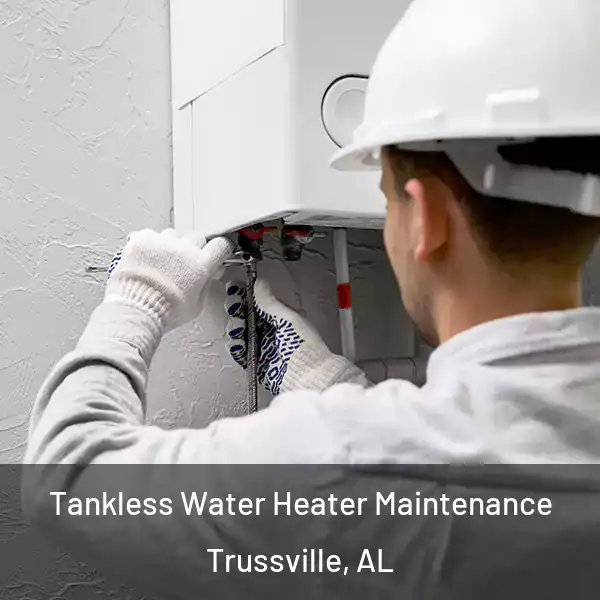  Tankless Water Heater Maintenance Trussville, AL