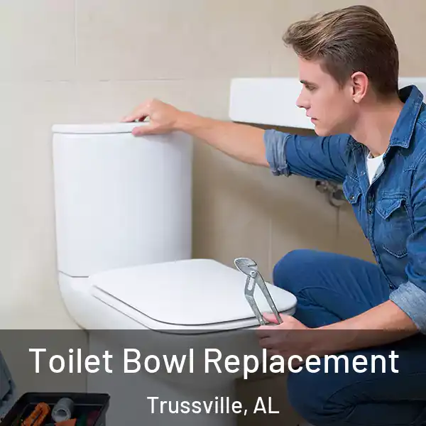  Toilet Bowl Replacement Trussville, AL