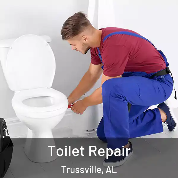  Toilet Repair Trussville, AL