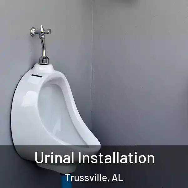  Urinal Installation Trussville, AL
