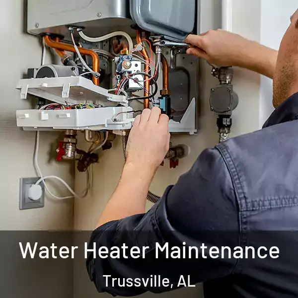  Water Heater Maintenance Trussville, AL