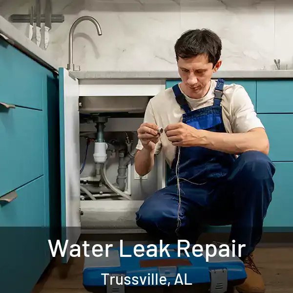  Water Leak Repair Trussville, AL