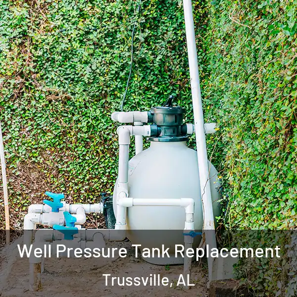  Well Pressure Tank Replacement Trussville, AL