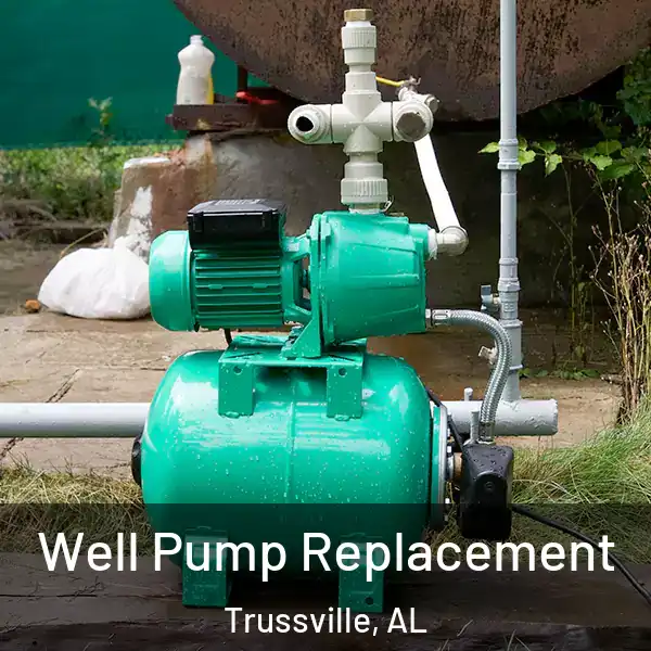 Well Pump Replacement Trussville, AL